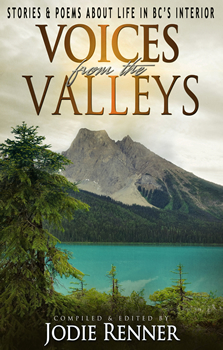 Voices from the Valleys image