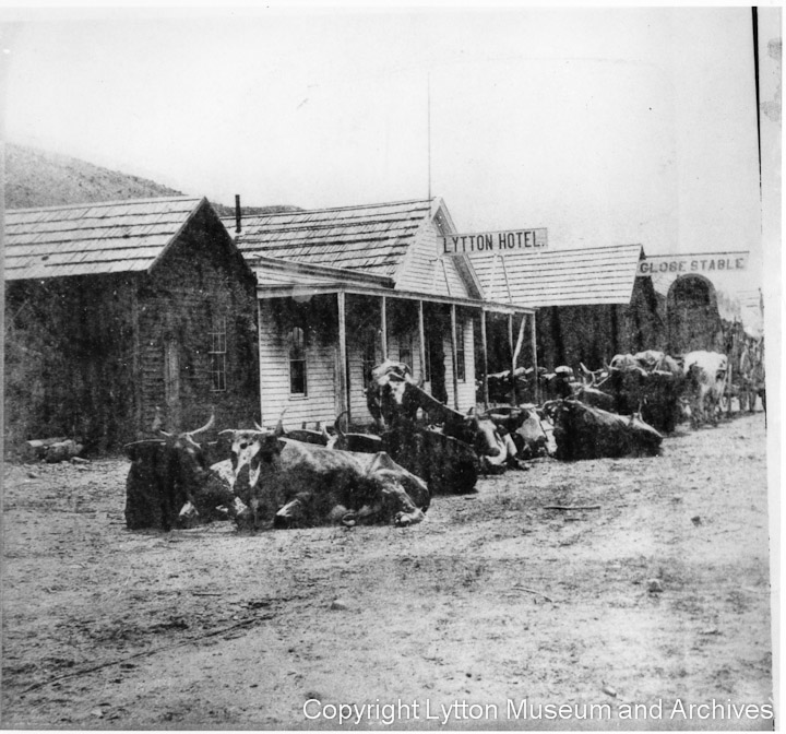 Archives Number 0315