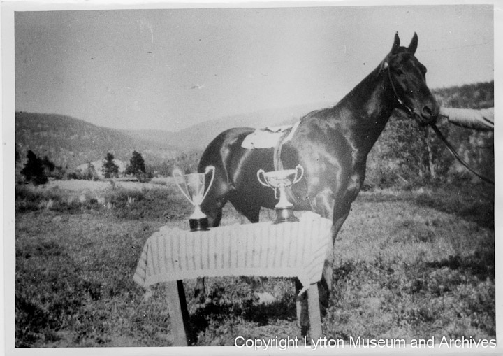 Archives Number 0950