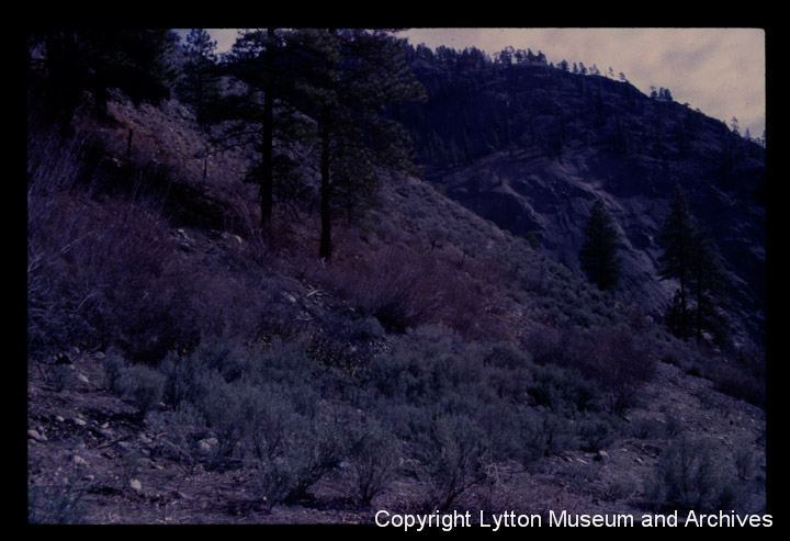 Archives Number 1521_10