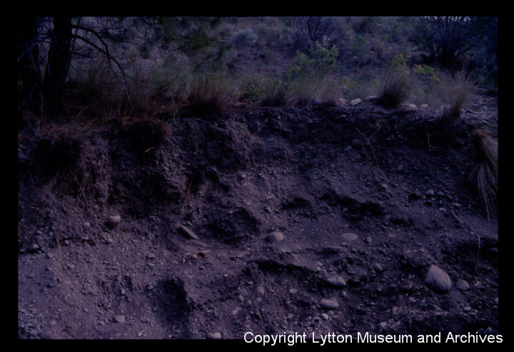 Archives Number 1521_11