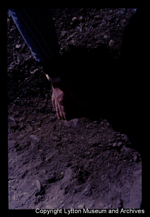 Archives Number 1521_12