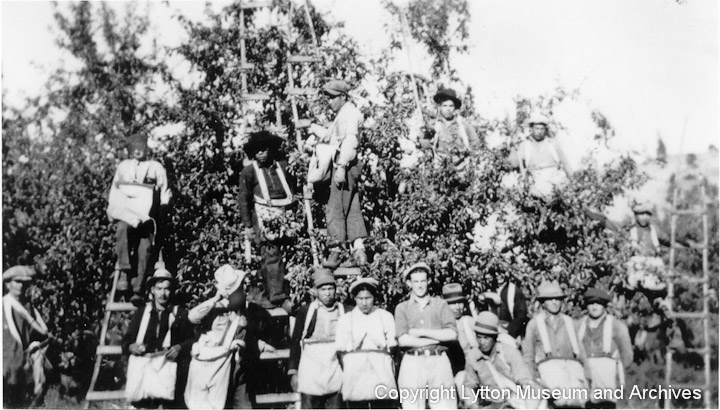 Archives Number 1592b